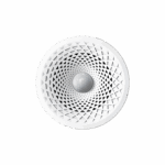 CSMS-06/00.1.00